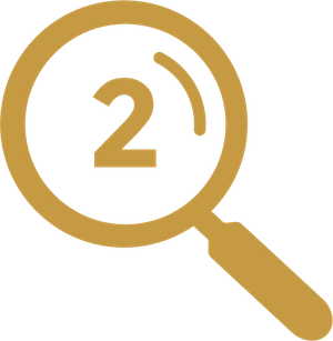 Step 2 icon, prior art search