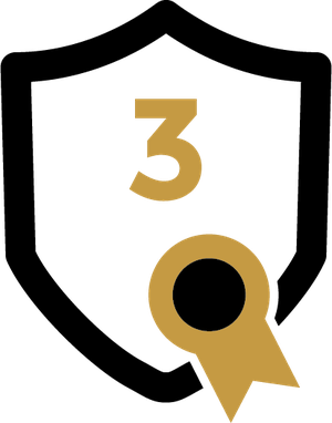 Step 3 icon, patent shield
